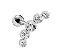 Earrings for Women Thick Rod Ear Pin Five Small Earrings High Grade Green Leaf Silver (White, One Size)