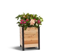 EARTH ELEVATED 100% Canadian Cedar Wood Elevated Garden Bed for Gardening - Planter Pot to Grow Herbs Flowers, and Vegetables at Home Indoor and Outdoor Patio Balcony Deck - 18” x 18” x 24”