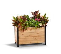 EARTH ELEVATED 100% Canadian Cedar Wood Elevated Garden Bed for Gardening - Planter Pot to Grow Herbs Flowers, and Vegetables at Home Indoor and Outdoor Patio Balcony Deck - 18” x 36” x 24”