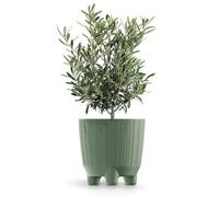 (Earth green, 13cm) Plant Pots Indoor Outdoor Plastic Flowerpot Small Medium Large RYFO 5 Colours
