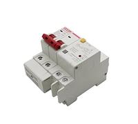 Earth leakage protectors 50A 2P SPD Residual Current Circuit Breaker with Overload Overvoltage with Lightning Protection MCB Leakage Protector