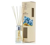 Earth Secrets Reed Diffuser, Sea Minerals