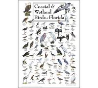 Earth Sky + Water - Coastal & Wetland Birds of Florida - Poster