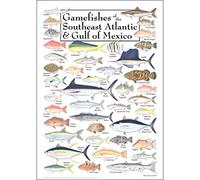 Earth Sky + Water - Gamefishes of Southeast Atlantic & Gulf of Mexico - Poster