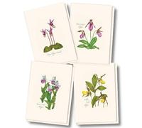 Earth Sky + Water - Native Orchid Assortment Assortment Notecard Set - 8 Blank Cards with Envelopes (2 each of 4 styles)