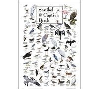 Earth Sky + Water - Sanibel & Captiva Birds - Poster