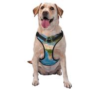 Earth View World Map Pattern Dog Harness - Lightweight,Soft,Adjustable Small Harness and Leash Set, Suitable for Puppy Small and Medium-Sized Dog-Medium