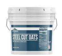 Earthborn Elements Steel Cut Oats (1 Gallon), Also Called Irish Oatmeal, Breakfast, Resealable Bucket