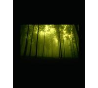 Earthbound & Enchanted: Rooted in Magic for Everyday Living