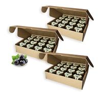 Earthbreath Marmalade - Black Currants & Honey - Pack of 48 - Multiple Flavours - Sugar-free, Natural - Free From Gelatine, or Any Artificial Additives - For Hotels, Restaurants, B&B, Celebrations