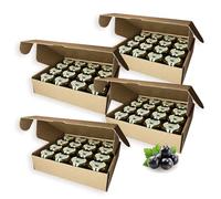 Earthbreath Marmalade - Black Currants & Honey - Pack of 64 - Multiple Flavours - Sugar-free, Natural - Free From Gelatine, or Any Artificial Additives - For Hotels, Restaurants, B&B, Celebrations