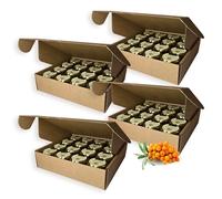 Earthbreath Marmalade - Sea Buckthorn & Honey - Pack of 64 - Multiple Flavours Available - Sugar-Free, Natural - No Gelatine or Artificial Additives - Ideal for Hotels, Restaurants, B&Bs, Events