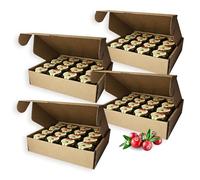 Earthbreath Raw Honey with Cranberries - 30g (1.06 oz) x Pack of 64 - Honey Jams with Multiple Flavours - For Hotels, Restaurants & Etc - Healthy Immunity Support - Free from Artificial Additives