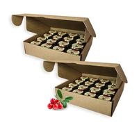 Earthbreath Raw Honey with Lingonberries - 30g (1.06 oz) x Pack of 32 - Honey Jams with Multiple Flavours - For Hotels, Restaurants, B&B, Celebrations - Raw, Pure, Natural - Healthy Immunity Support