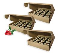 Earthbreath Raw Honey with Lingonberries - 30g (1.06 oz) x Pack of 48 - Jams with Multiple Flavours - Sea Buckthorn - Strawberries - Rowanberries - Black Currant