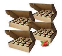 Earthbreath Raw Honey with Strawberries - 30g (1.06 oz) x Packs of 64 - Jams with Multiple Flavours - Sea Buckthorn - Rowanberries - Cranberries - Lingonberries - Sugar-Free