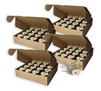 Earthbreath Wildflower Raw Honey - 30g Pack of 64 - 100% Pure, Raw & Natural - Healthy Immunity Support - No Artificial Additives