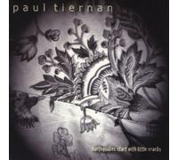 Earthquakes Start With Little Cracks by Paul Tiernan