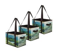 Earthwise Reusable Grocery Bags Set Shopping Box with Reinforced Bottom Heavy Duty Premium Collapsible Foldable with Long Handles Storage Boxes Eco Friendly Bins Cubes (Set of 3), Multi, L