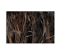 Earthy Palette Dance, Beige And Brown Grasses, Dark Textured Backdrop, Nature’s Quiet Elegance Canvas Poster Wall Art Decor Print Picture Paintings for Living Room Bedroom Decoration 20x30inch(50x75cm