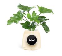 Easebloom Gen1 AI Plant Pot-Your Desktop Companion A smart plant pot for hydroponic gardening that supports ChatGPT and Gemini LLM and integrates with Tuya Smart