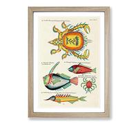 East Indies Fish & Crab Illustrations XLVI by Louis Renard Framed Print | A2 Oak Framed Wall Art | Ready to Hang | Modern Animal Picture | Living Room Bedroom Lounge Office