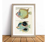 East Indies Fish Illustrations LVI by Louis Renard Framed Wall Art Picture Print - Canvas Painting - Modern Home Décor Poster - Ready to Hang for Living Room Bedroom Kitchen - Oak A4 (27 x 36 cm)