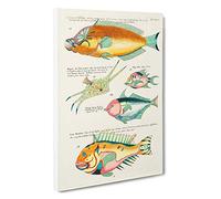 East Indies Fish Illustrations XIII by Louis Renard Canvas Print | Gallery Wrapped 30mm Frame Wall Art | 30x20 inches | Ready to Hang | Modern Animals Picture | Living Room Bedroom Lounge Office