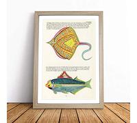 East Indies Fish Illustrations XLIII by Louis Renard Framed Wall Art Picture Print - Canvas Painting - Modern Home Décor Poster - Ready to Hang for Living Room Bedroom Kitchen - Oak A4 (27 x 36 cm)