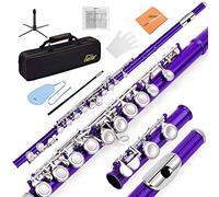 Eastar C Flutes Closed Hole 16 Keys Flute for Beginner Kids Student Flute Instrument with Fingering Chart, Cleaning Kit, Stand, Carrying Case, Gloves, Tuning Rod, Purple, EFL-1Pu