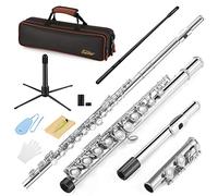 Eastar C Flutes Closed Hole 16 Keys Flute for Beginner Kids Student Flute Instrument with Cleaning Kit, Stand, Carrying Case, Gloves, Tuning Rod, Nickel, EFL-1