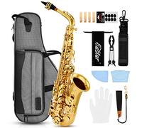Eastar Upgraded Alto Saxophone E Flat for Beginner Students Brass Sax Full Kit, Travel Bag, Foldable Stand, Cleaning Kit, Golden Lacquer, EAX-21