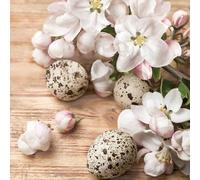 Easter 3-Ply Tissue Paper Napkins Decorative Serviettes for Decoupage 33cm x 33cm - 1/4 Folded (Pack of 20) (Quail Eggs with Apple Blossom)
