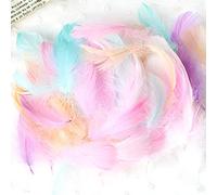 Easter Arts And Crafts for Kids 50 Pieces Set Natural Colourful DIY Feather Craft Toy Natural Animal Feather Manual DIY Material Decoration Toy For Kids Toddler Arts And Crafts 2 Years (A, One Size)