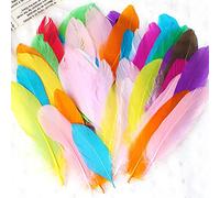 Easter Arts And Crafts for Kids 50 Pieces Set Natural Colourful DIY Feather Craft Toy Natural Animal Feather Manual DIY Material Decoration Toy For Kids Toddler Arts And Crafts 2 Years (K, One Size)