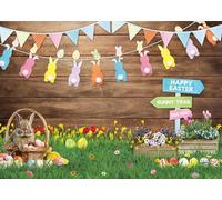 Easter Backdrops for Photography 7x5FT Easter Party Banner Decorations Spring Flower Green Grass Rabbit Egg Wooden Wall Background Kids Newborn Portrait Photo Props