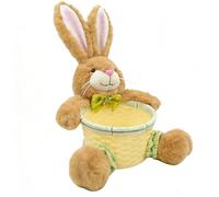 Easter Bunny - Basket Cute Rabbit Shaped Egg Container, Candy Storage Basket with Spacious Interior & Sturdy Design for Kids, Home, Holiday Celebrations, Family Gatherings and Seasonal Fun