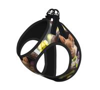 Easter Bunny Eggs Spring Flower Rabbit Print Pet Leash Vest Soft Adjustable Step in Puppy Vest Outdoor Walking with Leash