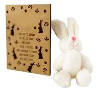 Easter Bunny Indoor Plush | Cute Rabbit Party Favors with Candy Card, Funny Easter Decoration for Family & Friends**