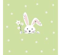 Easter Bunny Paper Napkins, Spring Daisy Design, 40 Count, Lunch Size