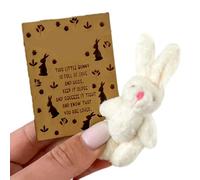 Easter Bunny Plush - Small Cartoon Bunny, Party Favors Candy Card, Funny Easter Postcards, Family Friends Teenagers Girls, Birthday Valentine’s Day Gift, Holiday Celebration Toy Accessory