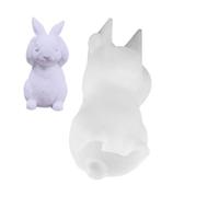 Easter casting mold,Easter bunny mold - silicone bunny craft mold for - silicone for beginners, epoxy resin casting for adults and