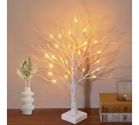 Easter Decorations, 2FT Birch Tree with LED Lights, Warm White Light up Tree Lamp, for Home Table Inside, Easter Decor Indoor, Battery Powered, Timer