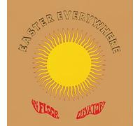The 13th Floor Elevators - Easter Everywhere (Limited Edition Psychedelic Color 2LP) [VINYL]