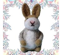 Easter Felt Bunny Ornaments for Decor - Felt Easter Bunny | Home Decor Easters Figures | Funny Animal Figurines, Easters Buny Garden Decoration, Handmade Crochet Rabbit Wearing Colorful Jacket Coats