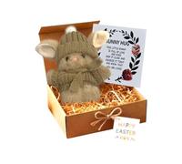 Easter Plush Knitted Bunny Boxed Gift, Handmade Mini Bunny Hug, Soft Stuffed Pocket Rabbit Toy, Cute Easter Rabbit Decor with Inspirational Card, Heartfelt Easter Present for Friends and Family