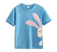 Easter Shirts for Girls Boys Cute Bunny Tshirts Kids Happy Easter Tees Cotton Short Sleeve Tops Toddler Easter Outfit Boys Summer Clothes (Sky Blue, 8-9 Years)