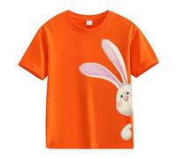 Easter Shirts for Girls Boys Cute Bunny Tshirts Kids Happy Easter Tees Cotton Short Sleeve Tops Toddler Easter Outfit Toddler Clothes (Orange, 3-4 Years)