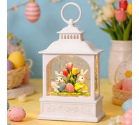 Easter Snow Globe, Bunny Eggs Spring Snow Globe 6H Timer Easter Decorations Holiday Decorations (Bunny Eggs)