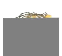 Easter String Lights,Adjustable Bright Funny Carrot | LED Decorative Lights Spring Decor | for Indoor Outdoor Home Entryway Shelf Window Door Wall Garden Balcony Holiday Party